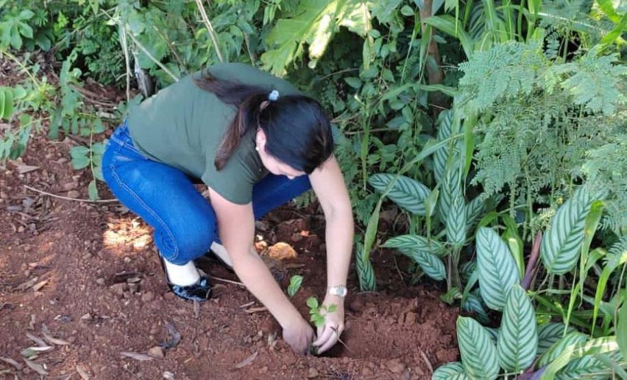 Ações ambientais para comemorar o Dia do Rio preveem a restauração de quatro hectares de mata ciliar em diferentes pontos do Paraná.