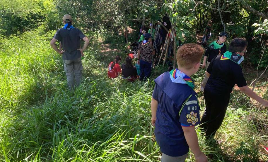 Ações ambientais para comemorar o Dia do Rio preveem a restauração de quatro hectares de mata ciliar em diferentes pontos do Paraná.