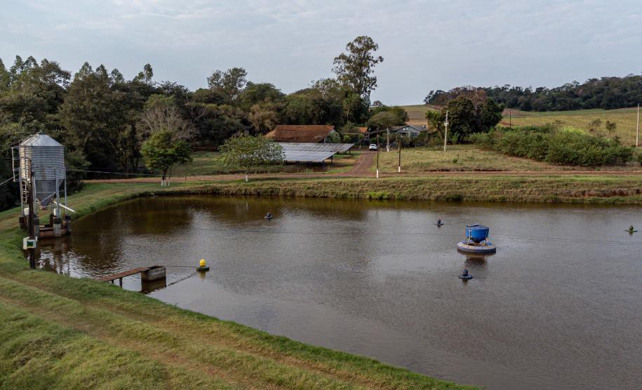 Em nota, PGE defende projeto de licenciamento e indica interferência indevida do Ibama. Na foto, Marechal Cândido Rondon, energia Solar que alimenta a pisicultura Foto: Roberto Dziura Jr/AEN