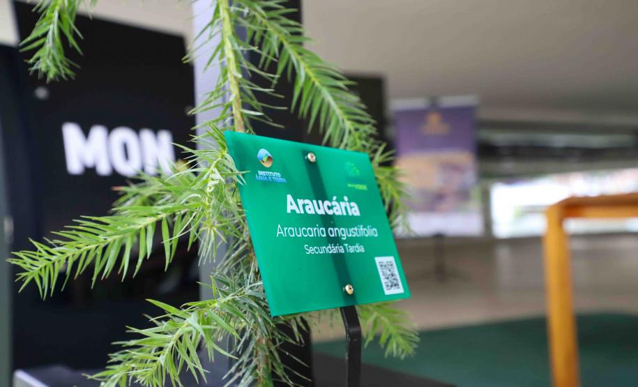 MON se transforma na casa da "muda 10 milhões" do programa Paraná Mais Verde