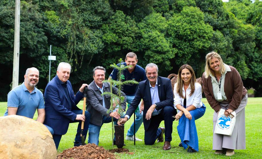 MON se transforma na casa da "muda 10 milhões" do programa Paraná Mais Verde