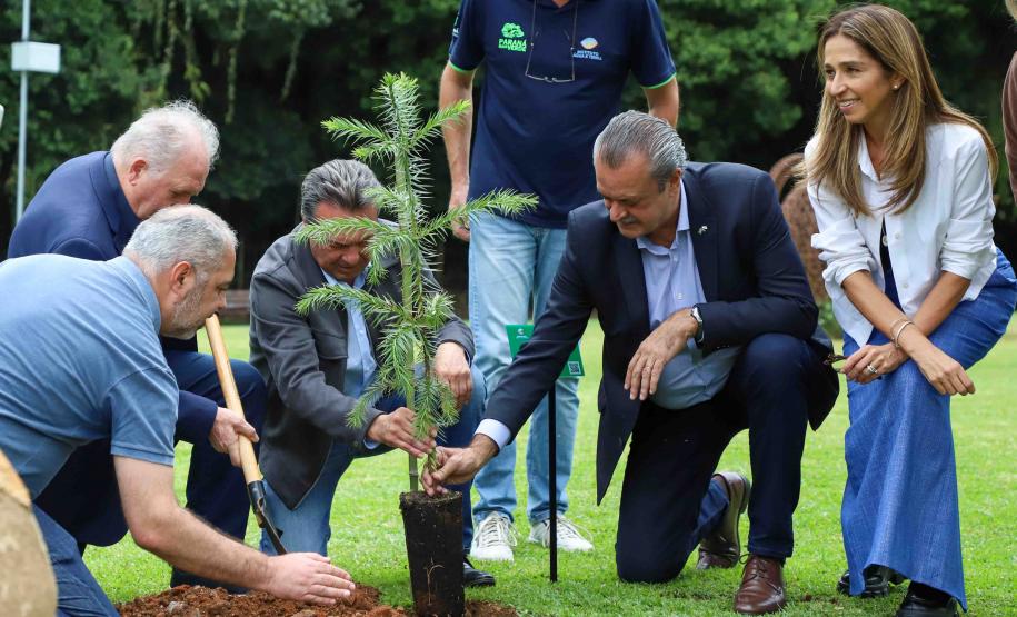 MON se transforma na casa da "muda 10 milhões" do programa Paraná Mais Verde
