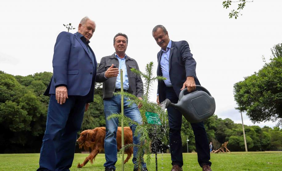 MON se transforma na casa da "muda 10 milhões" do programa Paraná Mais Verde
