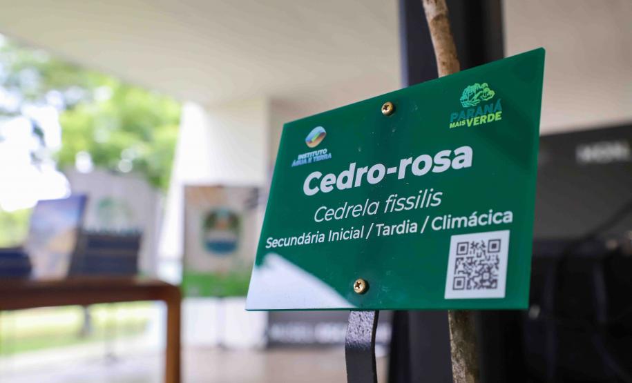 MON se transforma na casa da "muda 10 milhões" do programa Paraná Mais Verde