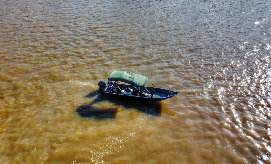 Nova fase do Rio Vivo começa com a soltura de 100 mil peixes no Rio Ivaí, no Noroeste