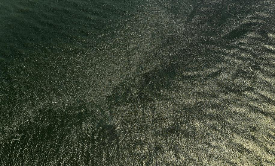 CBH do Alto Ivaí apresenta planos para 2025 em reunião virtual na próxima terça-feira