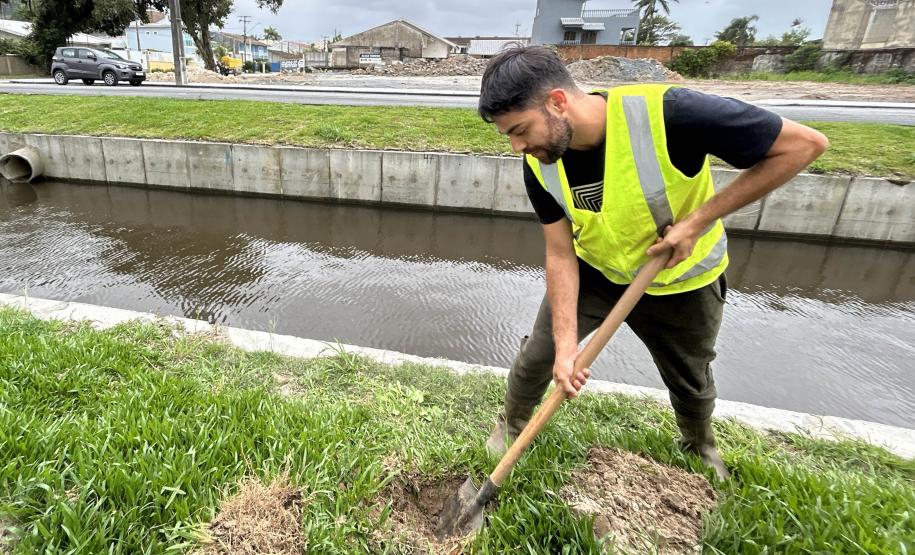 Matinhos: IAT finaliza reflorestamento do Canal da Avenida Paraná com 576 manacás-da-serra