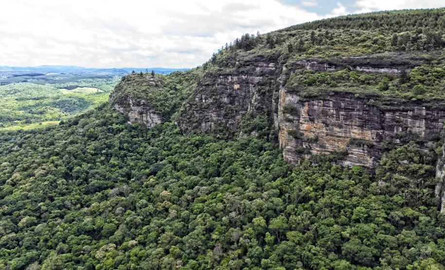 Paraná já liberou quase R$ 600 milhões em recursos da indenização da Petrobras para aplicar em projetos ambientais