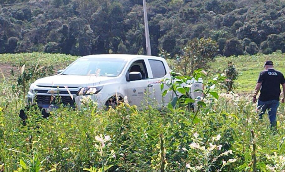 Com rigor na fiscalização, Paraná aumentou o número de multas por desmatamento ilegal