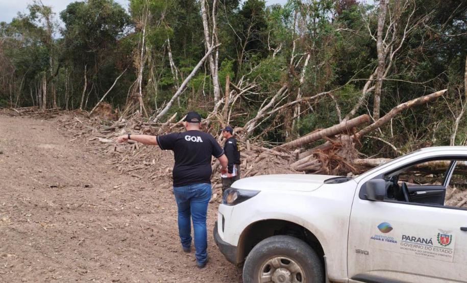 Com rigor na fiscalização, Paraná aumentou o número de multas por desmatamento ilegal