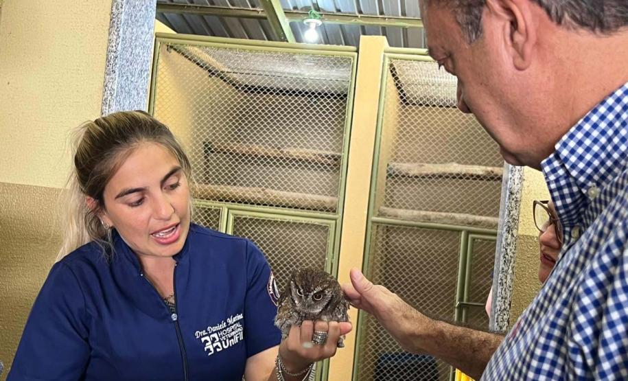 IAT fecha 2024 com 3.735 atendimentos à fauna silvestre no Paraná