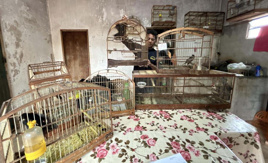 IAT fecha 2024 com 3.735 atendimentos à fauna silvestre no Paraná