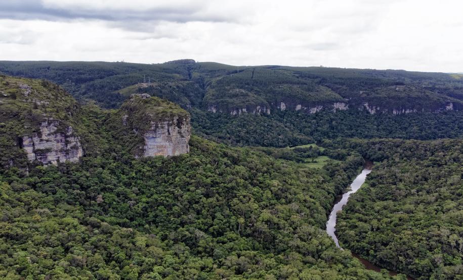 Ilha do Mel, Baitaca, Vale do Codó e Campinhos: visitas aos parques estaduais administrados pelo IAT cresceram quase 10% em 2024.