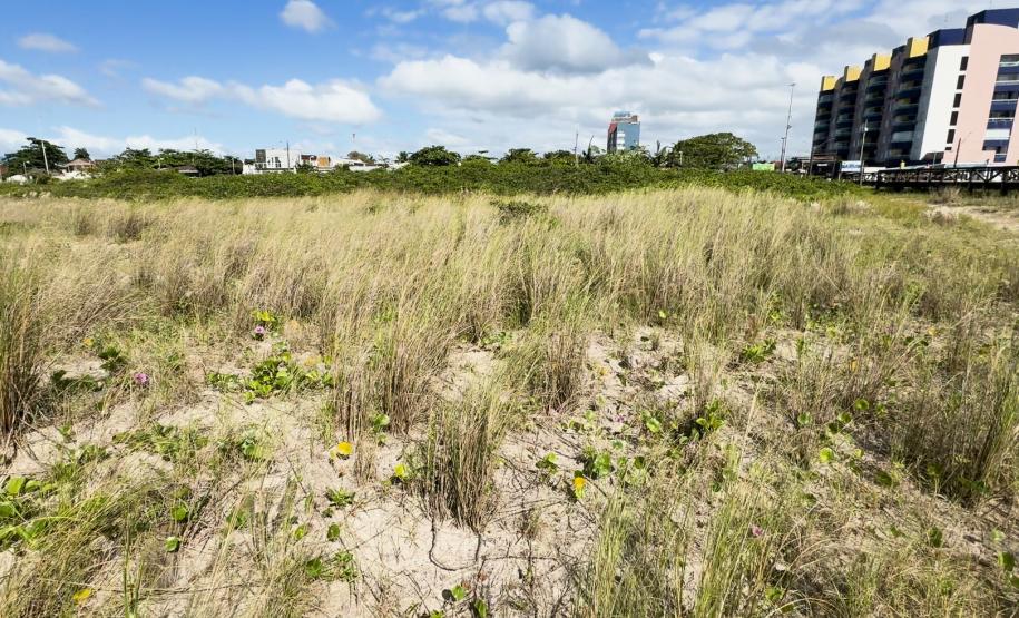IAT destaca importância da restinga em ação de educação ambiental em Pontal do Paraná