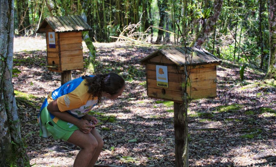 IAT começou a instalar placas educativas para preservar a fauna nativa da Ilha do Mel