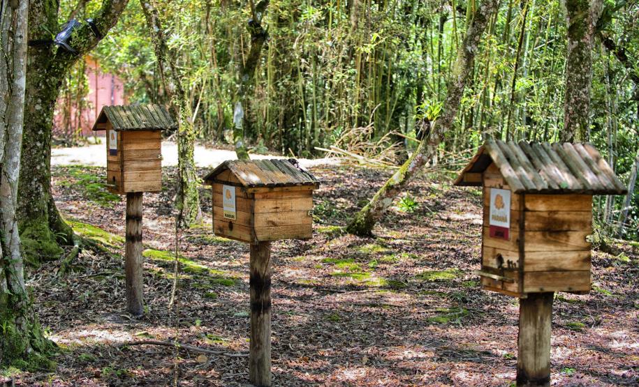 IAT começou a instalar placas educativas para preservar a fauna nativa da Ilha do Mel