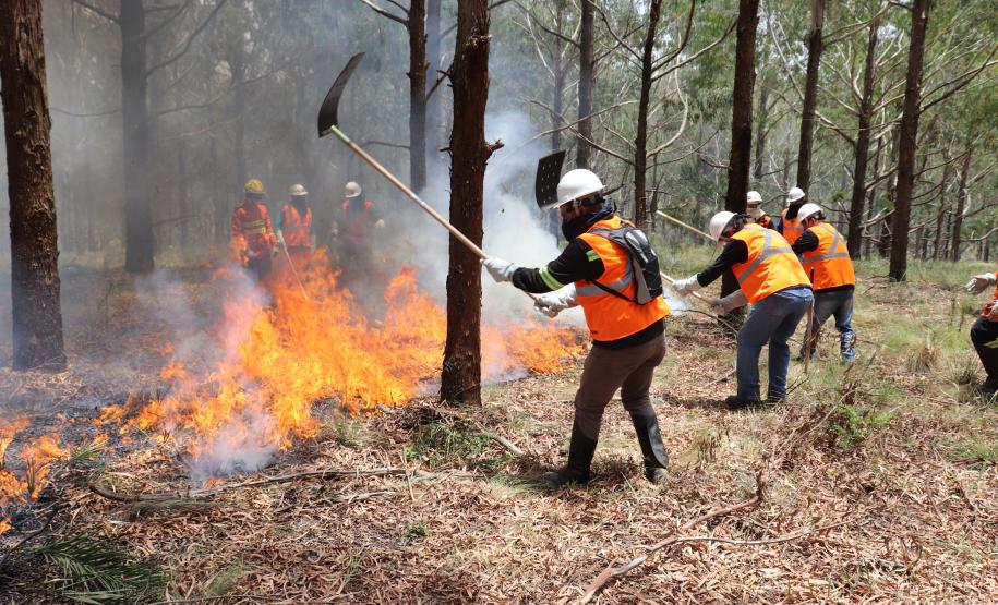 Voluntários podem se inscrever para curso de brigadista florestal