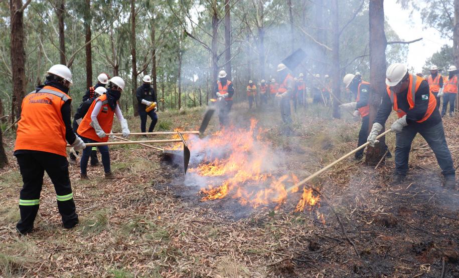 Voluntários podem se inscrever para curso de brigadista florestal