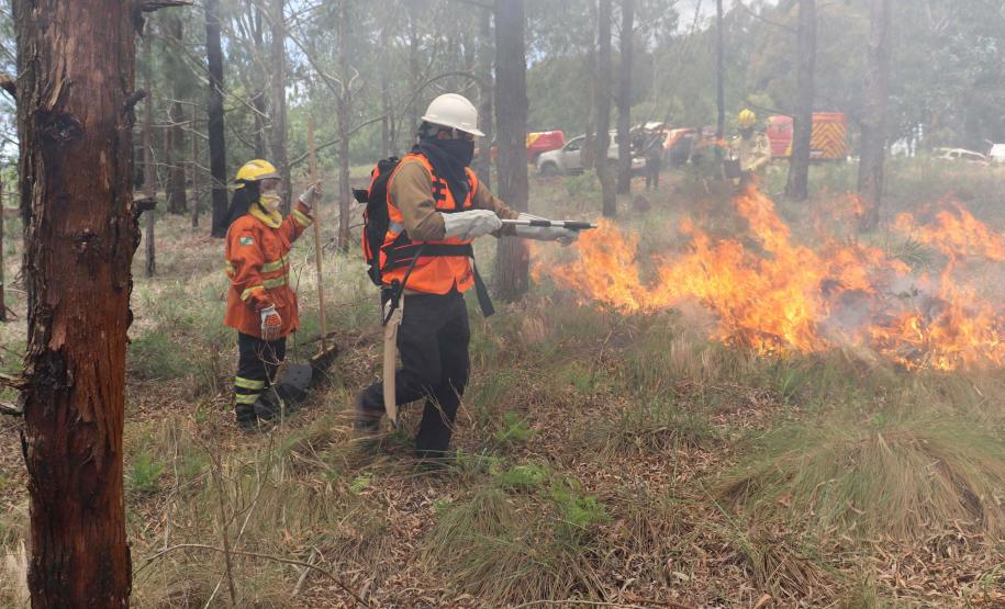 Voluntários podem se inscrever para curso de brigadista florestal