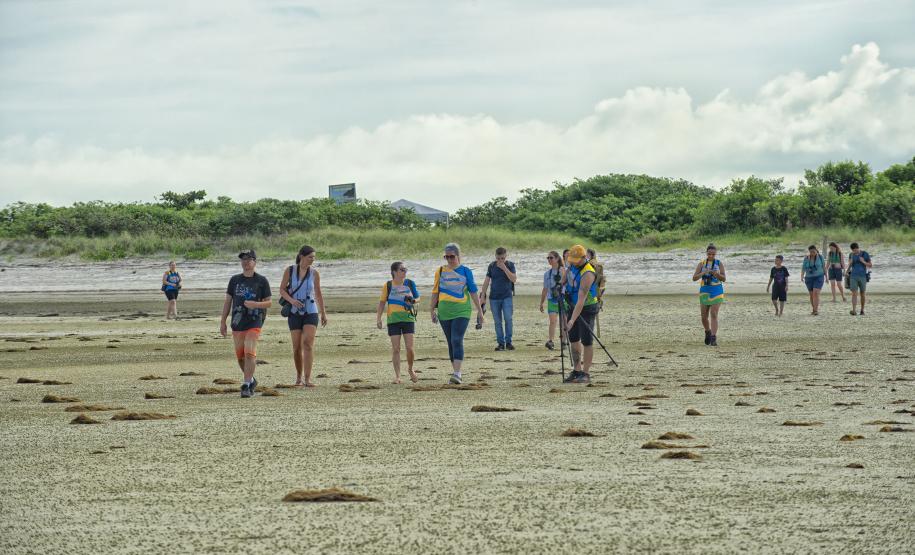 Grupo com dez pessoas participou da primeira edição do projeto Passarinhar Paraná, nesta sexta-feira (24), na Ilha do Mel