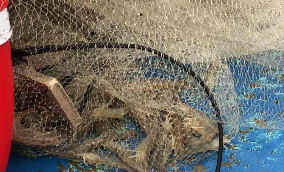Um dia após a proibição da pesca, agentes do IAT recuperam 13 quilos de camarão em Guaraqueçaba