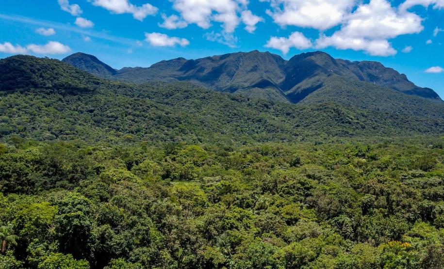 Estado atualiza procedimentos do ICMS Ecológico; 59% das cidades recebem o benefício