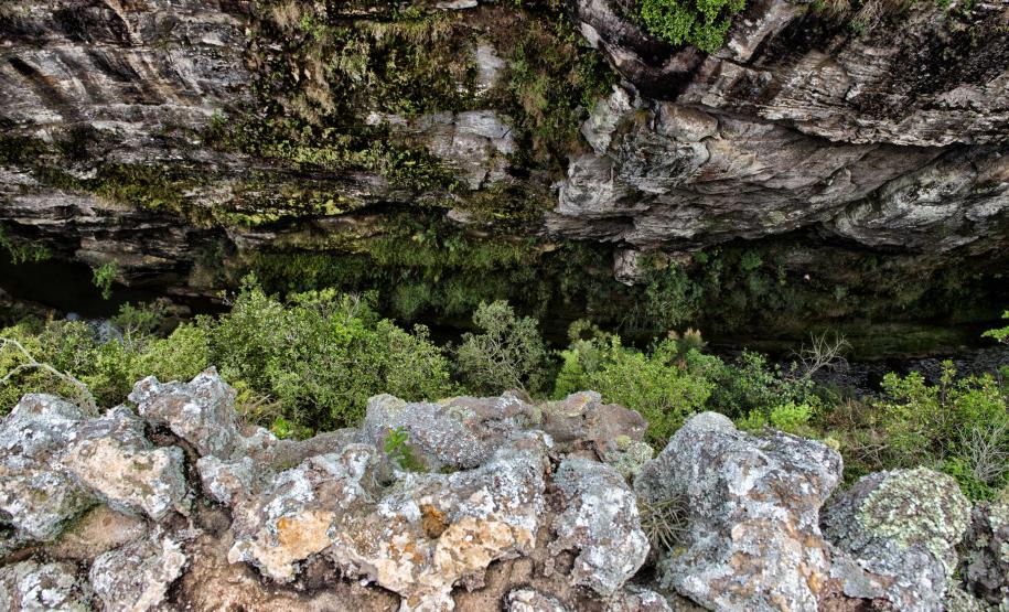 Carnaval com montanhas, rios, mata e fauna: parques do Estado colocam o turista na natureza