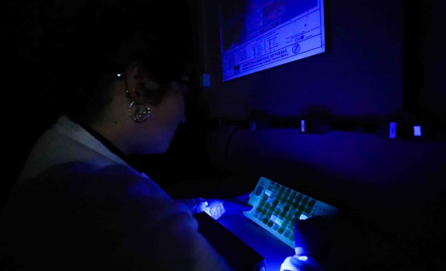 Composto por três laboratórios, a estrutura do IAT faz análises regulares de amostras de água, solo, sedimentos e peixes para a identificação de contaminantes e poluentes