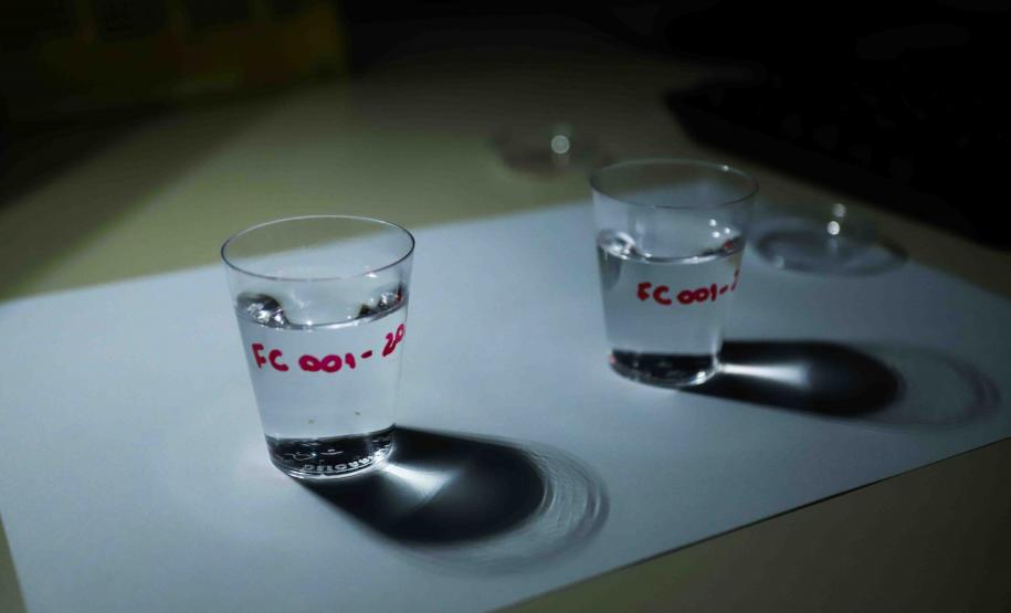 Composto por três laboratórios, a estrutura do IAT faz análises regulares de amostras de água, solo, sedimentos e peixes para a identificação de contaminantes e poluentes