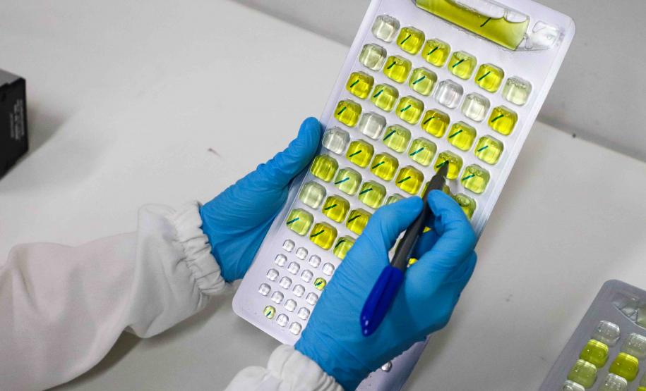 Composto por três laboratórios, a estrutura do IAT faz análises regulares de amostras de água, solo, sedimentos e peixes para a identificação de contaminantes e poluentes