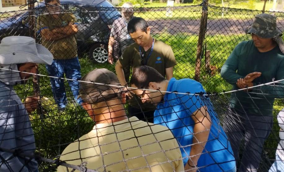 IAT começa a instalar armadilhas móveis para captura de javalis em Unidades de Conservação