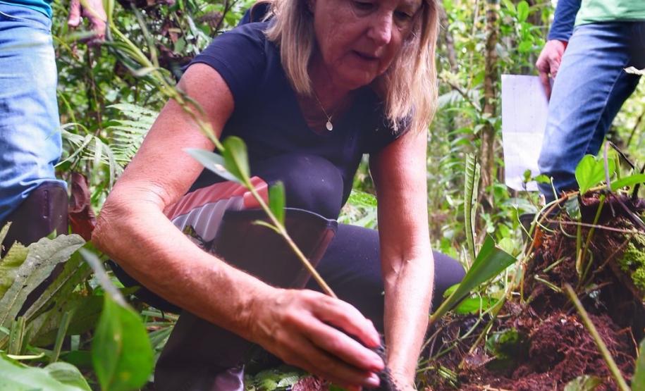 Voluntários participaram da ação de educação ambiental no Parque Estadual do Palmito, em Paranaguá, no Litoral do Paraná