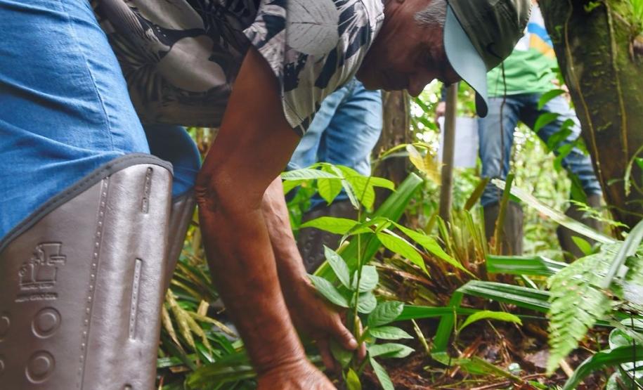 Voluntários participaram da ação de educação ambiental no Parque Estadual do Palmito, em Paranaguá, no Litoral do Paraná