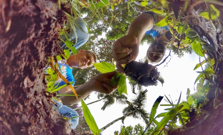 Voluntários participaram da ação de educação ambiental no Parque Estadual do Palmito, em Paranaguá, no Litoral do Paraná