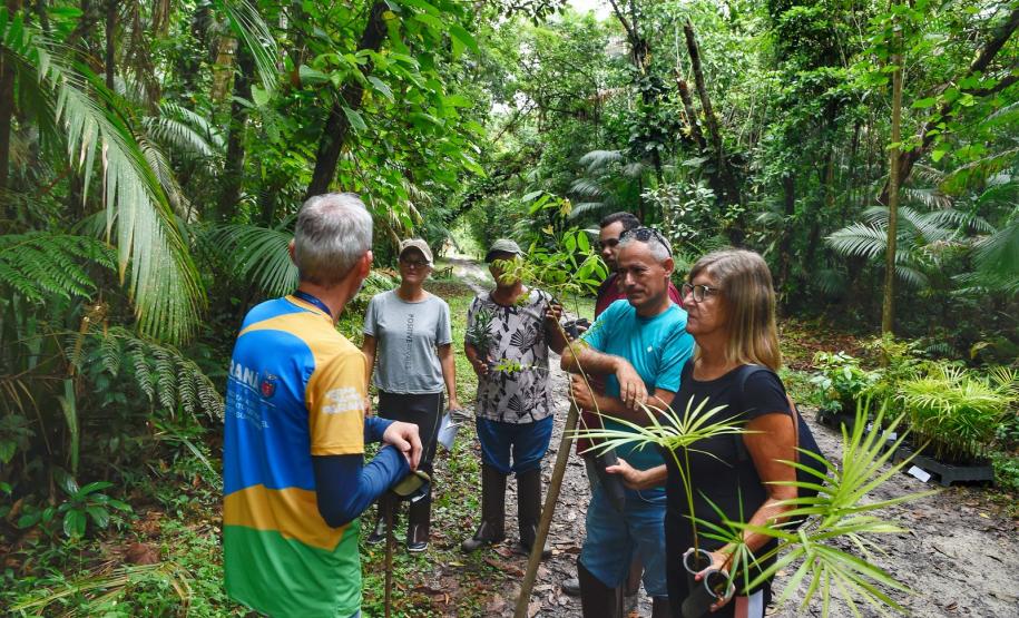 Voluntários participaram da ação de educação ambiental no Parque Estadual do Palmito, em Paranaguá, no Litoral do Paraná