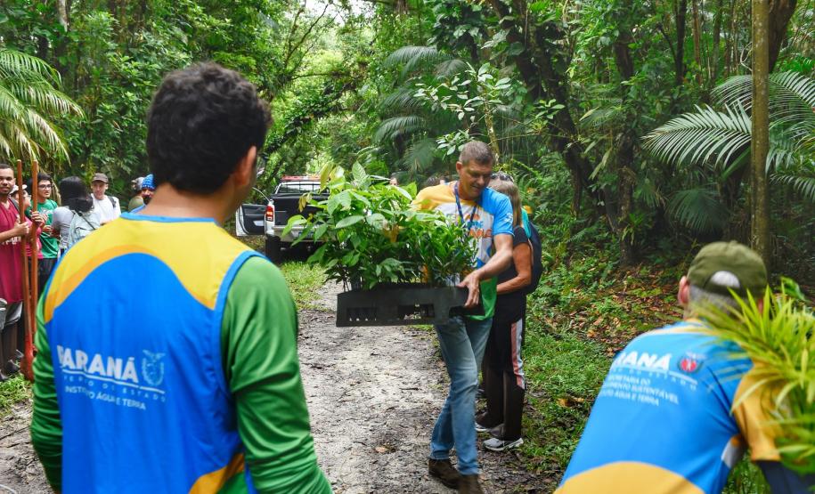 Voluntários participaram da ação de educação ambiental no Parque Estadual do Palmito, em Paranaguá, no Litoral do Paraná
