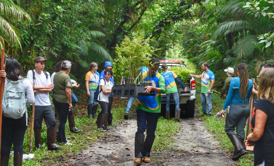 Voluntários participaram da ação de educação ambiental no Parque Estadual do Palmito, em Paranaguá, no Litoral do Paraná