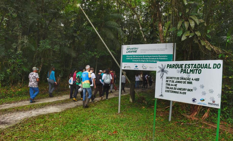 Voluntários participaram da ação de educação ambiental no Parque Estadual do Palmito, em Paranaguá, no Litoral do Paraná