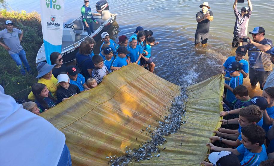 Ação de soltura de 50 mil peixes nativos na represa de Salto Osório, no Rio Iguaçu, no município de Sulina.