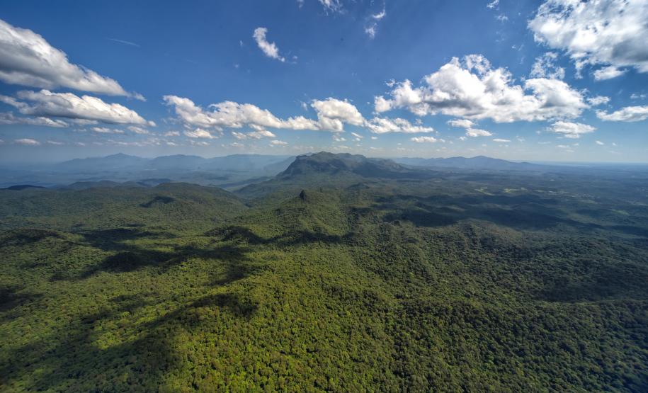 Levantamento do Instituto Água e Terra (IAT) revelou que o Paraná reduziu em 73% o desmatamento ilegal em 2024