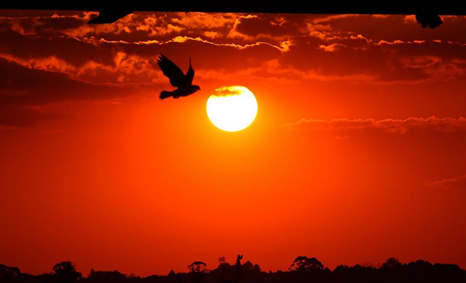 Chuvas perdem força e temperaturas seguem altas em março no Paraná, prevê Simepar