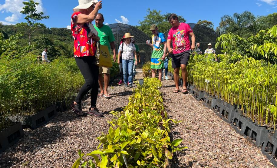 Um Dia no Viveiro: ação em Morretes mostra como é produção de mudas do IAT