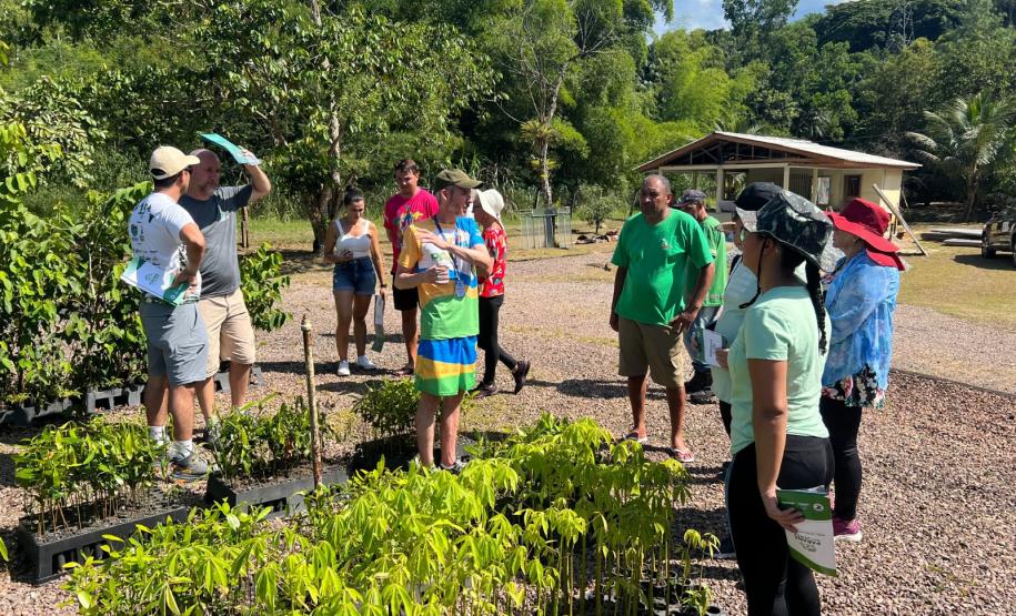 Um Dia no Viveiro: ação em Morretes mostra como é produção de mudas do IAT