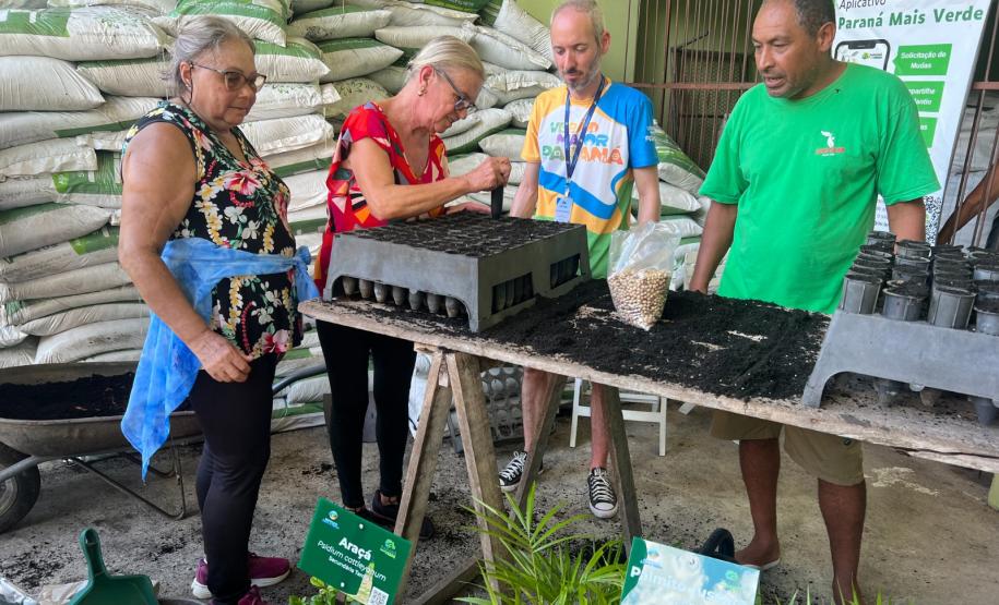 Um Dia no Viveiro: ação em Morretes mostra como é produção de mudas do IAT