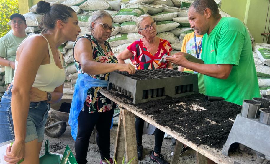 Um Dia no Viveiro: ação em Morretes mostra como é produção de mudas do IAT