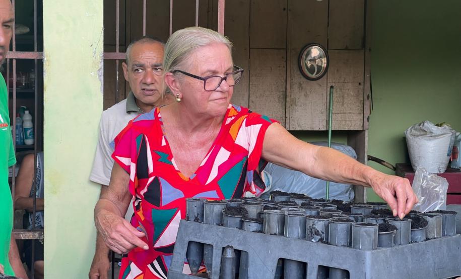 Um Dia no Viveiro: ação em Morretes mostra como é produção de mudas do IAT