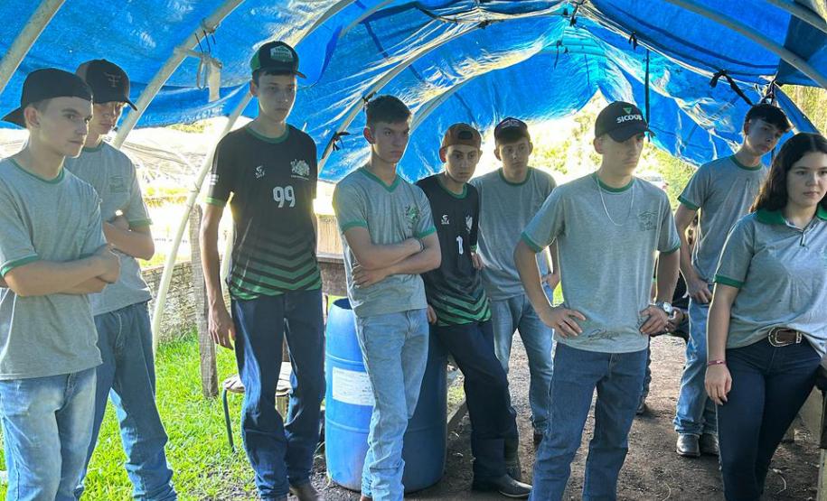 Um Dia no Viveiro: ação em Morretes mostra como é produção de mudas do IAT