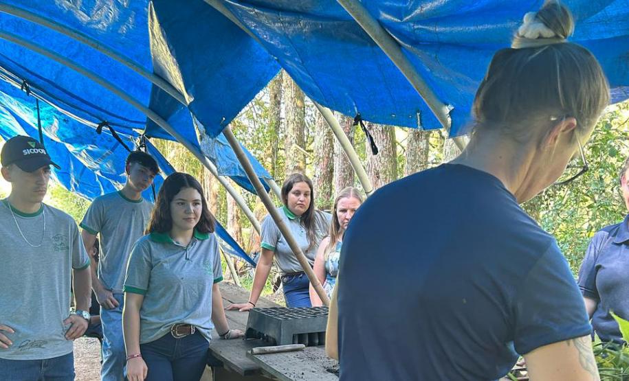Um Dia no Viveiro: ação em Morretes mostra como é produção de mudas do IAT