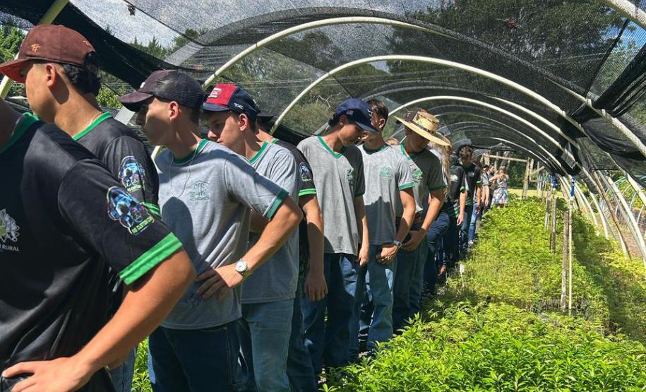 Um Dia no Viveiro: ação em Morretes mostra como é produção de mudas do IAT