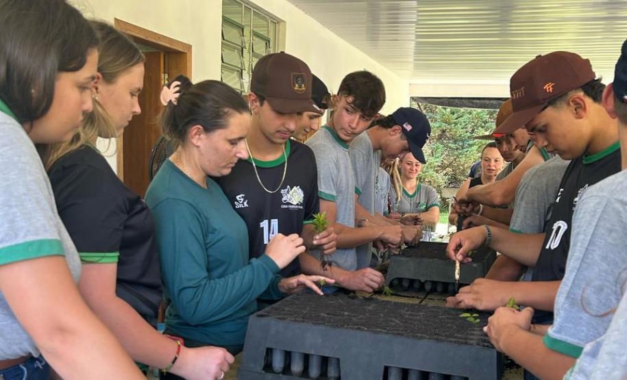 Um Dia no Viveiro: ação em Morretes mostra como é produção de mudas do IAT